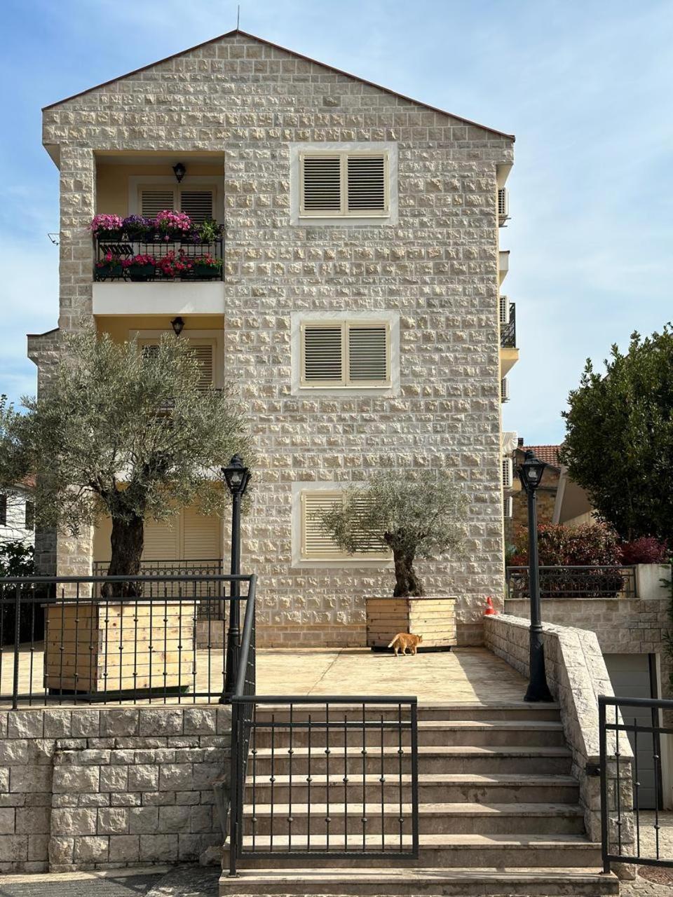 Apartman Tara Tivat Zewnętrze zdjęcie